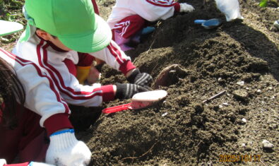 お芋ほりに行ってきたよ！